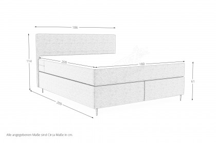BX-LE-01 von SW KOLLEKTION - Boxspringbett grau