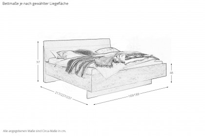 Villach von Wiemann - Schlafzimmer Nordic-Eiche - champagner
