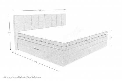 Casa Grande-Dream von Jockenhöfer - Boxspringbett 180 grau