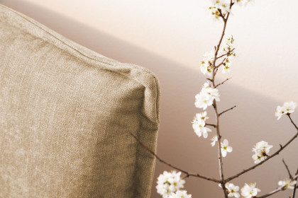 Ilva-Dream von Candy Sleep - Polsterbett butter