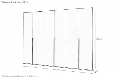 Scale-Spin von Rauch Black - Kleiderschrank Glas champagner - schwarz