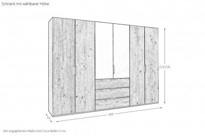 Scale-Spin von Rauch Black - Schrank Asteiche teilmassiv - Spiegel