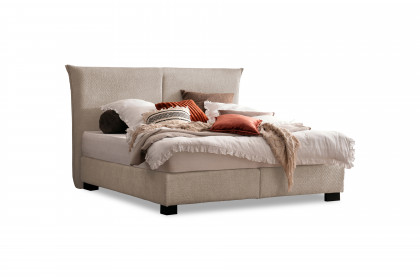 Tom von DONE.® - Boxspringbett cream