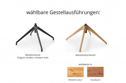 KOINOR 1286 - Polsterstuhl in Ocra & Mattschwarz