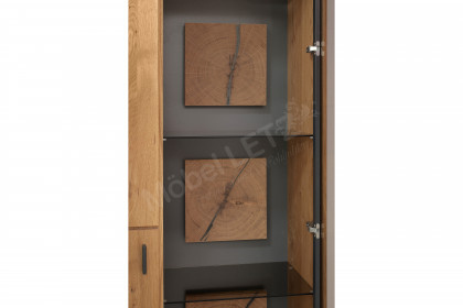Assini von MCA - Kombi-Vitrine mit Hirnholzblöcken