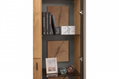 Assini von MCA - Kombi-Vitrine mit Hirnholzblöcken