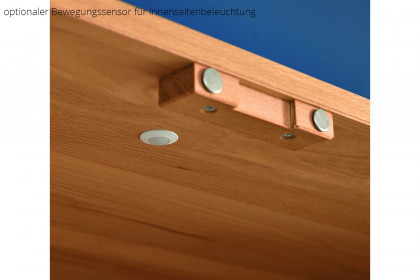 Incasa Premium von Decker - Schrank mit Vollflächentüren aus massiver Kernbuche