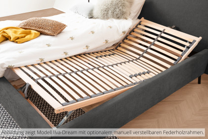 Ilva-Dream von Candy Sleep - Polsterbett grey