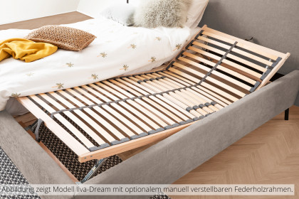 Ilva-Dream von Candy Sleep - Polsterbett taupe