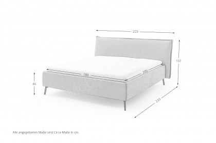Ilva-Dream von Candy Sleep - Polsterbett taupe