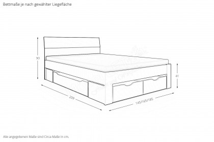 Allrounder von Rauch Blue - Schrank & Schubkastenbett grau-metallic