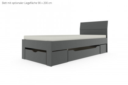 Allrounder von Rauch Blue - Schrank & Schubkastenbett grau-metallic