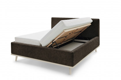 Delphi von Musterring - Polsterbett KT2 in Schwarz-Beige