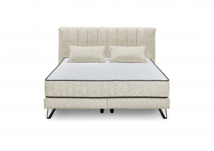 Baldwin von set one by Musterring - Boxspringbett 180 KTB in Ivory