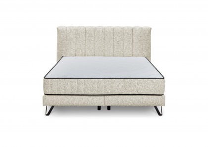 Baldwin von set one by Musterring - Boxspringbett 180 KTB in Ivory