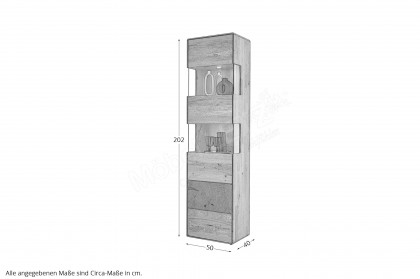 WZ-0626 von GK Möbelvertrieb - Vitrine I aus Wildeiche mit Hirnholz