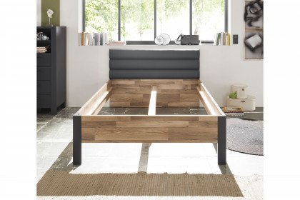 Dallas von POL Power - Queensize-Bett 140 x 200 cm dunkelgrau - Eiche