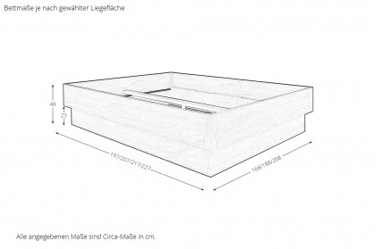 MULTIFLEX von Schlüter Möbelfabrik - Sockelbett Comfort 4 Eiche hell