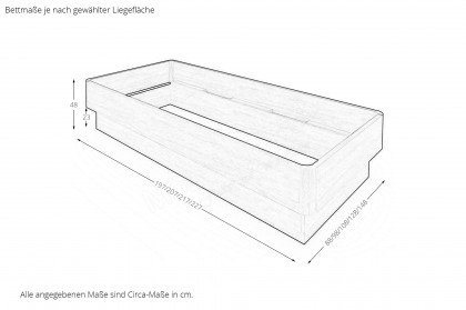 MULTIFLEX von Schlüter Möbelfabrik - Sockelbett Comfort 4 Eiche hell