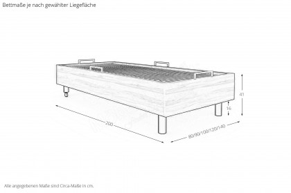 MULTIFLEX von Schlüter Möbelfabrik - Einzelbett rollbar Kernbuche mit Lattenrost