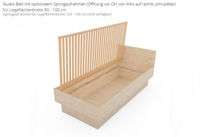 MULTIFLEX von Schlüter Möbelfabrik - Studiobett 100x200 cm Eiche San Remo