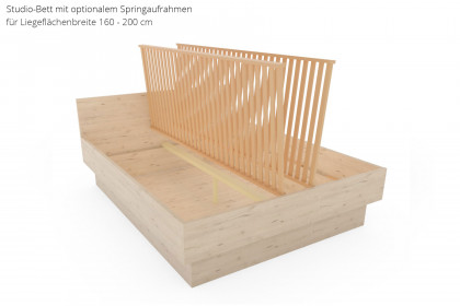 MULTIFLEX von Schlüter Möbelfabrik - Studiobett 100x200 cm Eiche San Remo