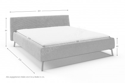 Adena von Candy Sleep - Polsterbett KT Low dark-grey