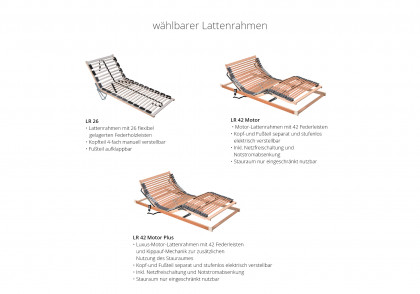 Tara 2.0 von Oschmann - Polsterbett KT 0327 silber-grau