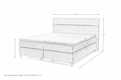 Bari von Musterring - Boxspringbett KT 26010 nougat