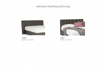 Studio Bed 002 von JOOP! - Boxspringbett slate mit Bettkasten