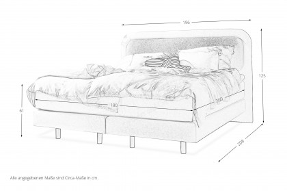 Vita von SCHÖNER WOHNEN - Boxspringbett 180 in Creme
