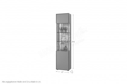 WM 2380 von Wöstmann - Vitrine eintürig, in Lack graphitgrau mit Eichenakzent
