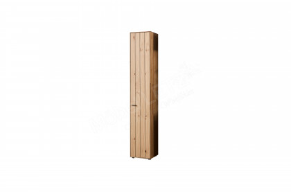 WM 2380 von Wöstmann - Schrank aus Wildeiche und Balkeneiche