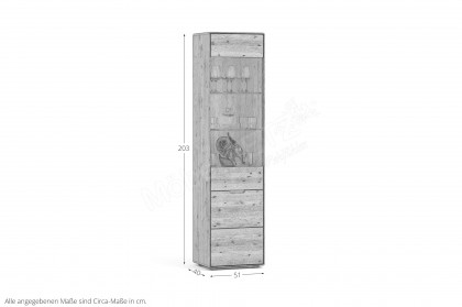 WZ-0663 von GK Möbelvertrieb - Vitrine I aus Wildeiche