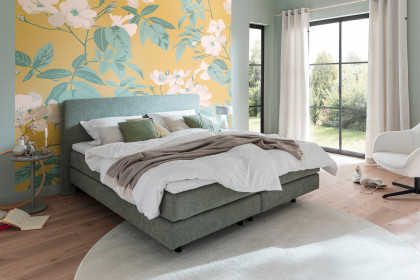 Vita von SCHÖNER WOHNEN - Boxspringbett 180 in Grün