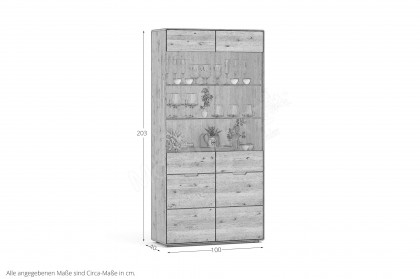 WZ-0663 von GK Möbelvertrieb - Vitrine II aus Wildeiche