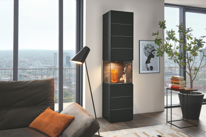 Q-Media 2.0 von Musterring - Vitrine 081 Lack schwarz/ Mattglas schwarz