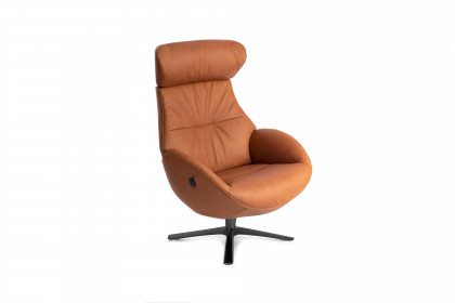 Globe von Conform - Designersessel cognac