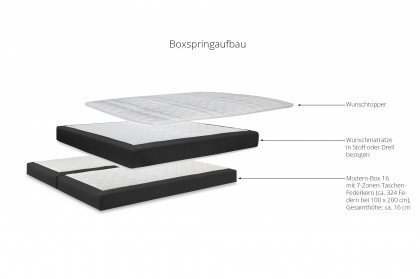 Modern von Hasena - Boxspringbett Izano L lightgrey