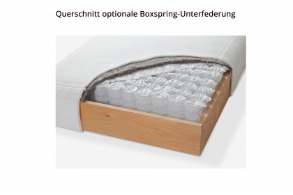 Dream-Line Pronto von Hasena - Polsterbett Silento mit optionalem Boxspringaufbau