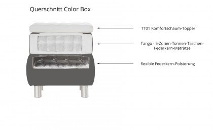 Color Box von Tom Tailor - Boxspringbett anthrazite