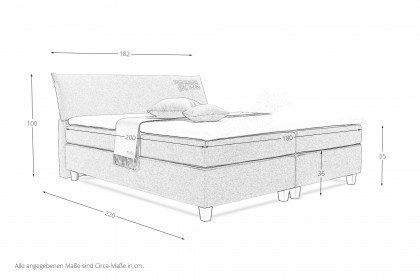 Color Box von Tom Tailor - Boxspringbett anthrazite