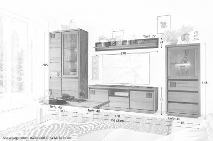 WZ-0159 von GK Möbelvertrieb - Wohnwand III-R aus Kernbuche