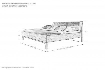 Paolo von MONDO - Bett mit Treibholz-Optik Eiche teilmassiv