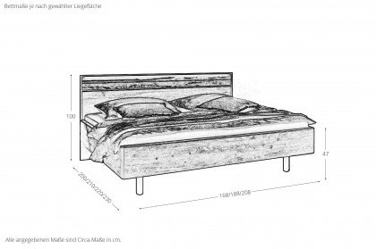 WSM 4300 von Wöstmann - Schlafzimmereinrichtung Wildeiche mit durchgehender Bauchbinde