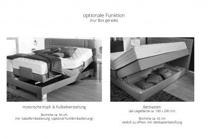 Serie 200 von f.a.n. Frankenstolz - Boxspringbett KT200 grau