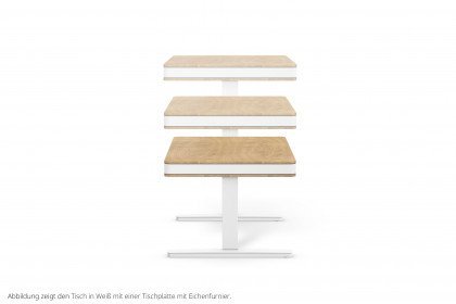 T8 L Exclusive von moll - Schreibtisch mit furnierter Nussbaumplatte