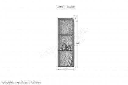 MO&MA von Munari - Hängeschrank mit 1 Tür in weißem Glas