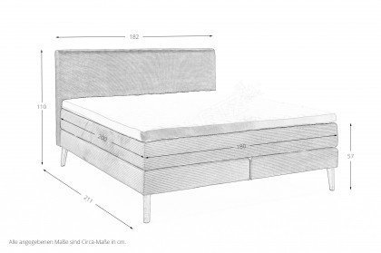 Linea-Dream von Meise Möbel - Boxspringbett 180 x 200 cm grau