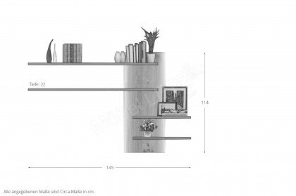 Thuxon-living von Larix - Wandregal Astfichte graphit matt/ Wildeiche